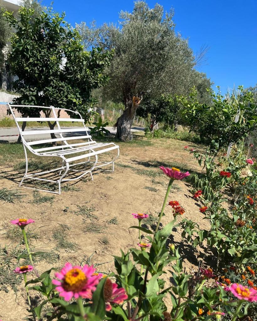 Qerana's Rooms: Corner Of Nature Hotel